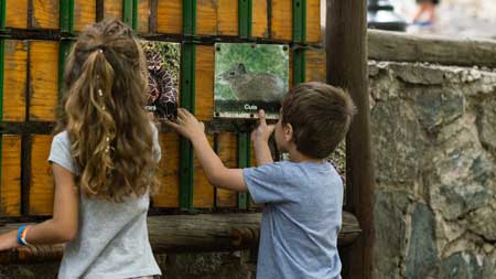 niños en el juego de la memoria